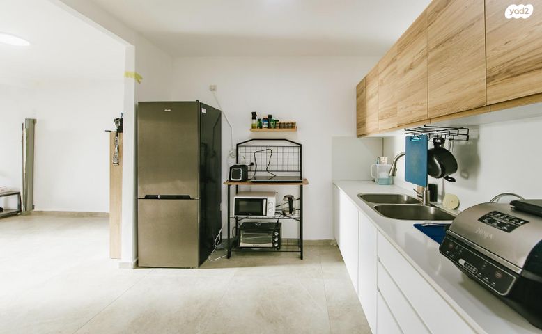 הרמן צבי שפירא 2