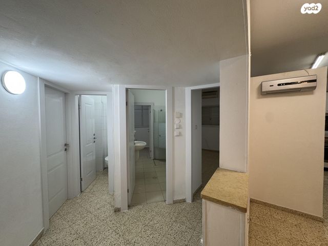 אריה רובין 3