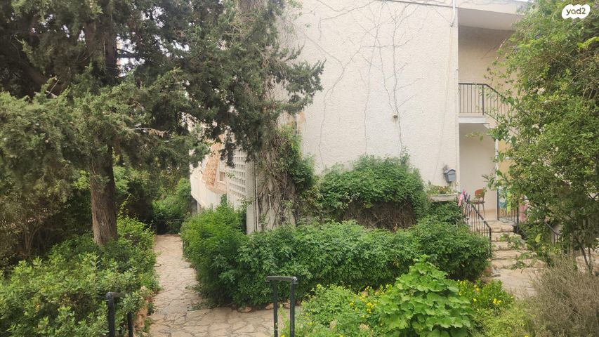 מורד הזמיר 8