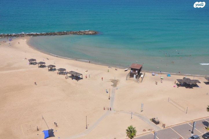 דוד אלעזר 10