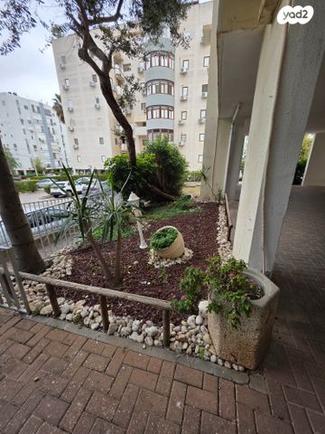 דירה, מרכז העיר, חדרה