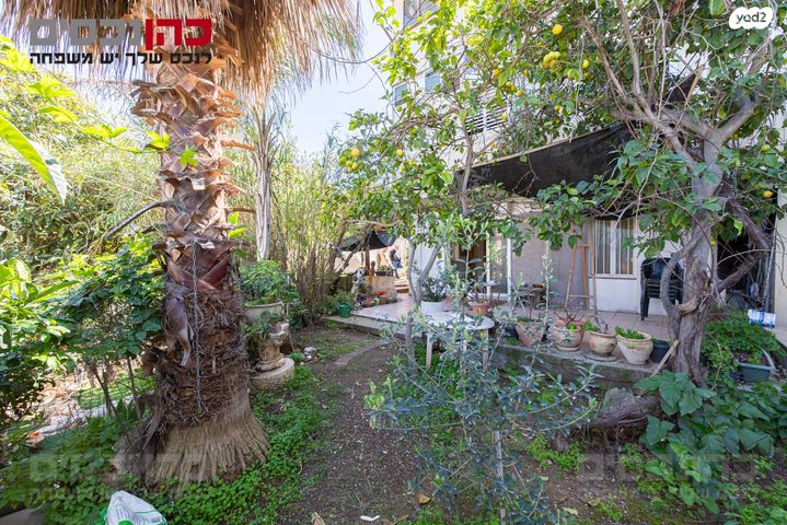 דב בר בורוכוב 