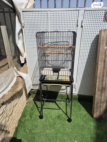 תמונת מודעה - חיות מחמד