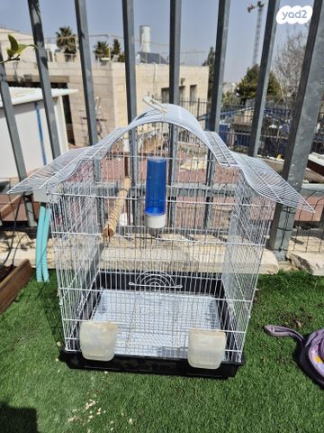 תמונת מודעה - חיות מחמד