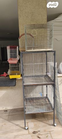 תמונת מודעה - חיות מחמד