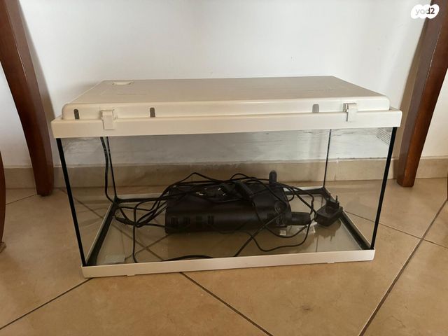 תמונת מודעה - חיות מחמד