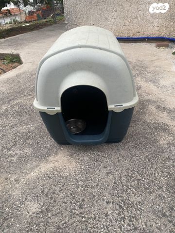 תמונת מודעה - חיות מחמד