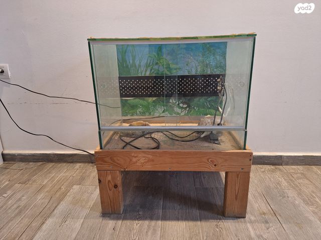 תמונת מודעה - חיות מחמד