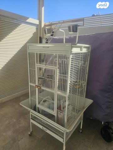 תמונת מודעה - חיות מחמד