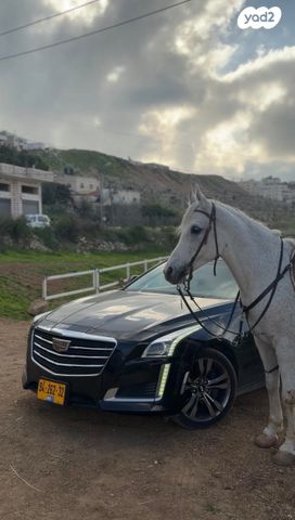 מודעת רכב קאדילק CTS