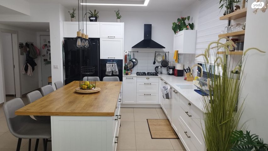 שרה אהרונסון 12