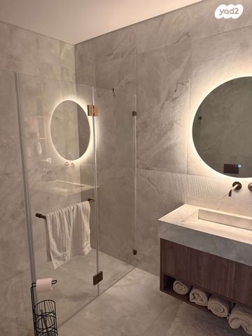 אברהם אבן שושן 2