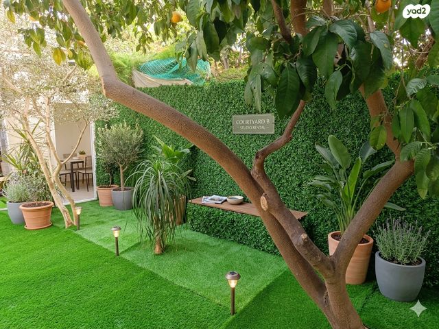 ברל כצנלסון 79