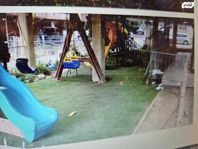 הרב הרצוג 29