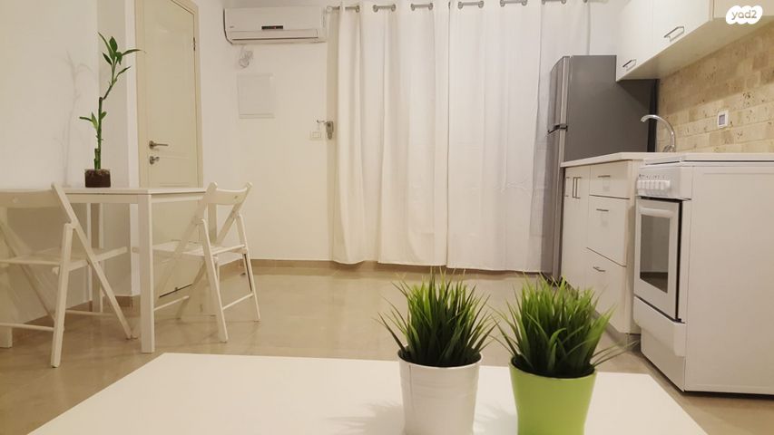 אריות הגולן 17