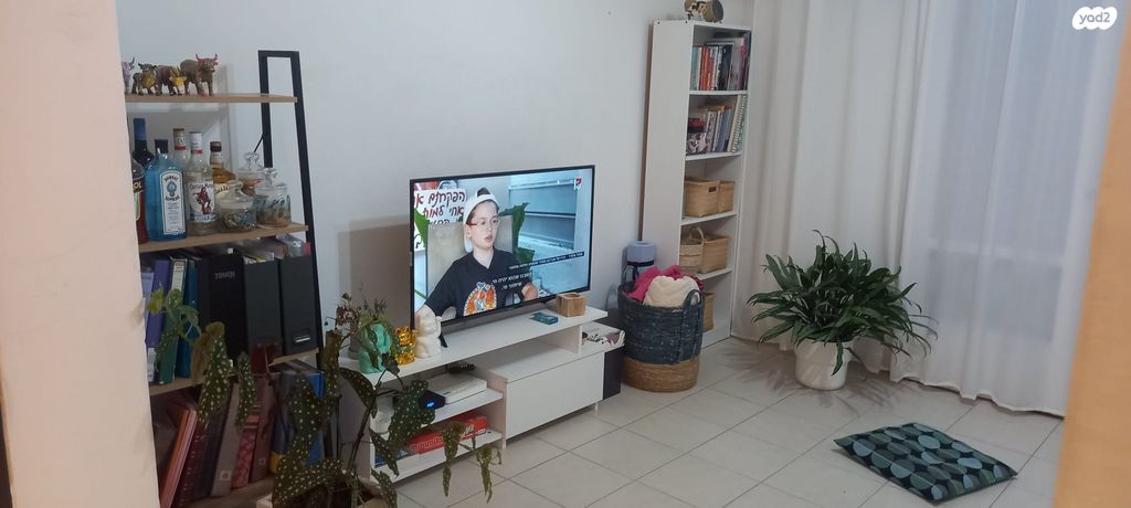 חיבת ציון 45