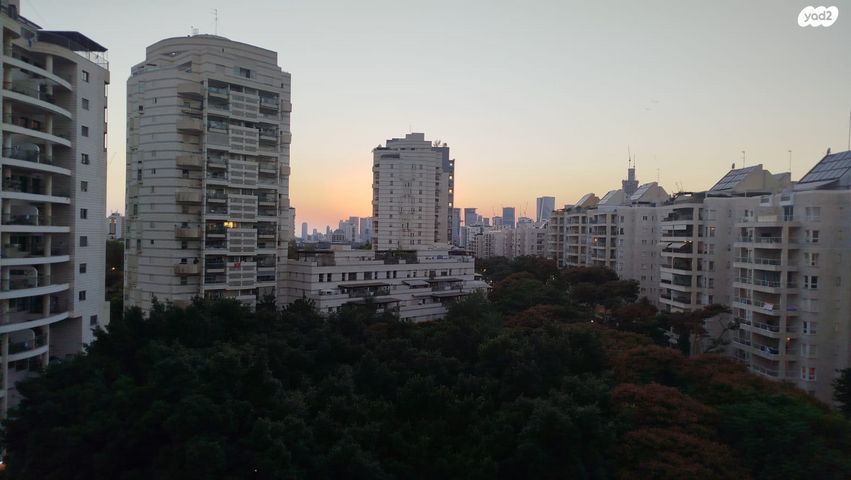 שמעון בן צבי 50