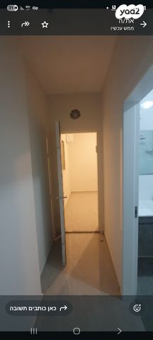 האקליפטוס 12