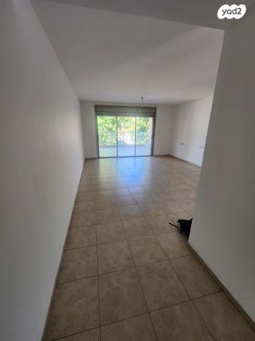 ישראל גלילי 18