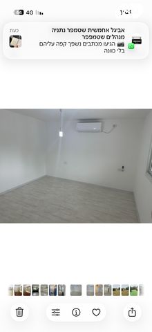 החשמונאים 14