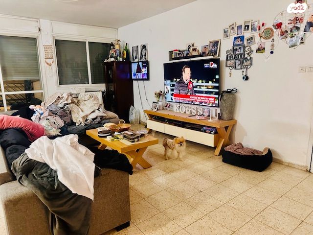 אריה בן אליעזר 