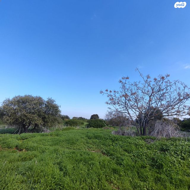 מגרשים, פרדס חנה כרכור