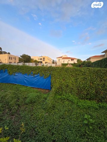 מגרשים, גבעת מיכאל, נס ציונה