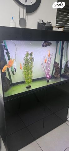 תמונת מודעה - חיות מחמד