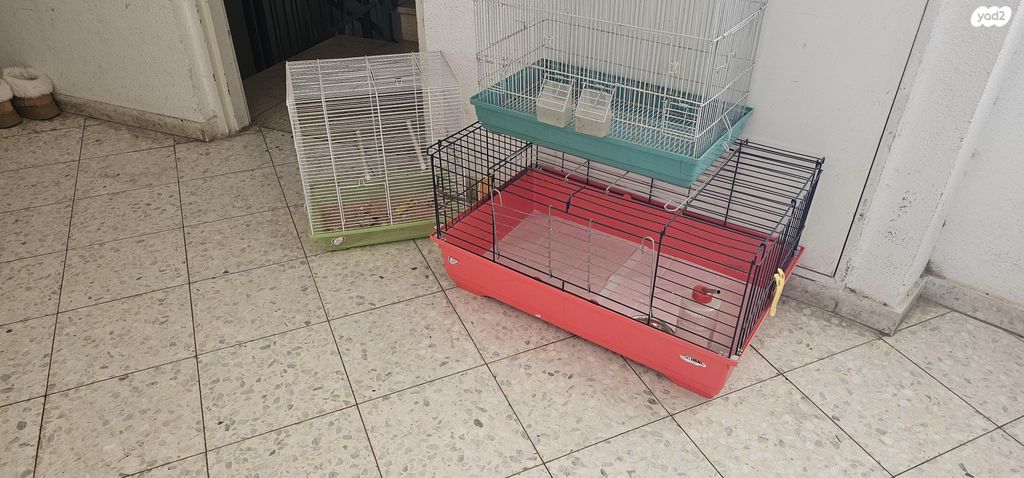 תמונת מודעה - חיות מחמד