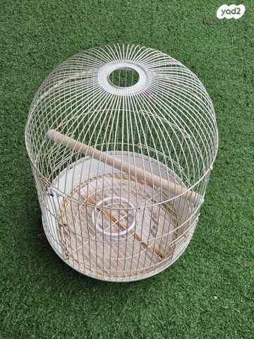 תמונת מודעה - חיות מחמד