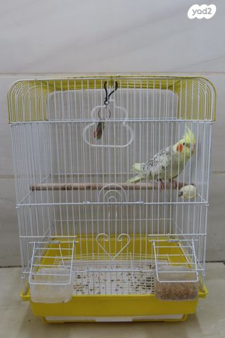 תמונת מודעה - חיות מחמד