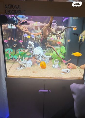 תמונת מודעה - חיות מחמד