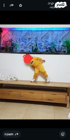 תמונת מודעה - חיות מחמד