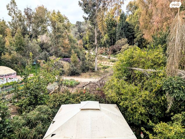 יהודה בורלא 27