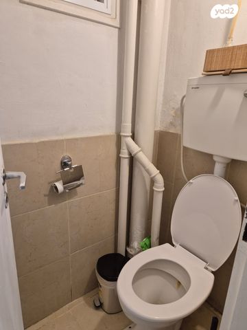 אברהם שטרן 49