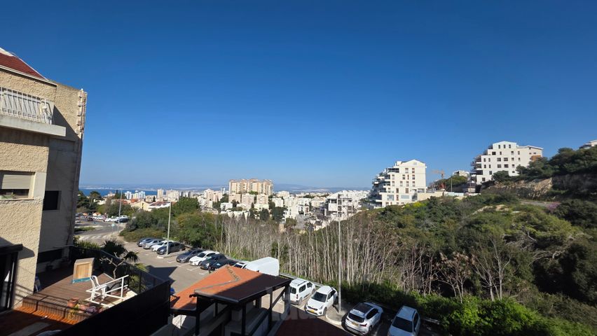 מרטין בובר 