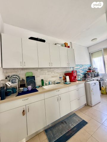 מקס שטיינמץ 