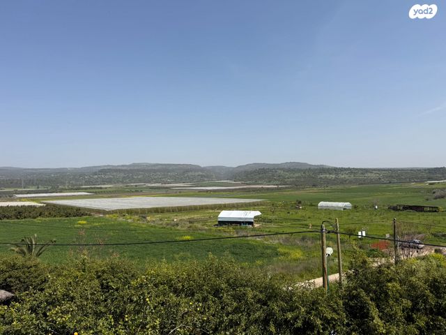 משק חקלאי/ נחלה, כרם מהר"ל