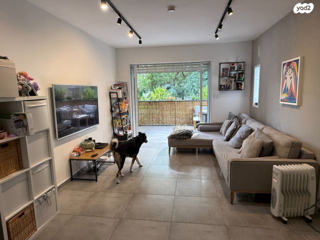 דירה, הצפון החדש - כיכר המדינה, תל אביב יפו