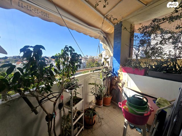 יונה צבי פיינשטיין 