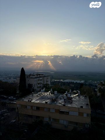 יצחק בן צבי 