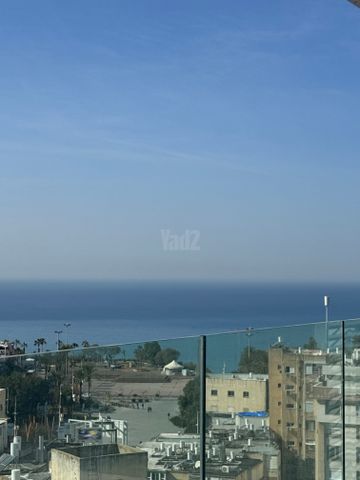 דיזנגוף 23