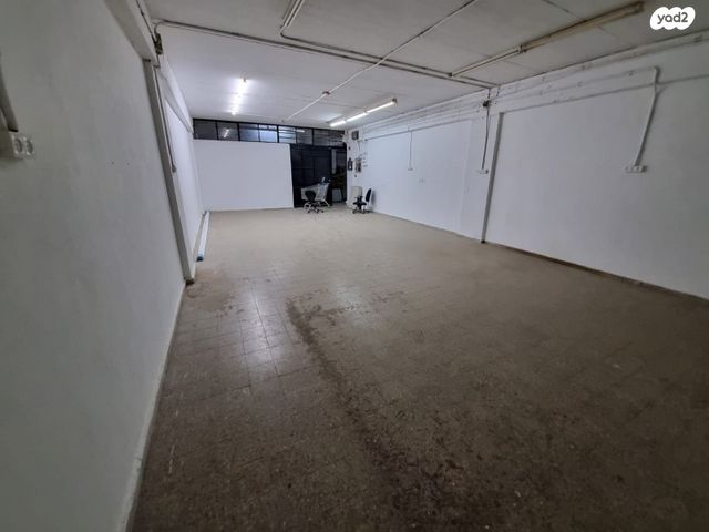 אריה שנקר 13