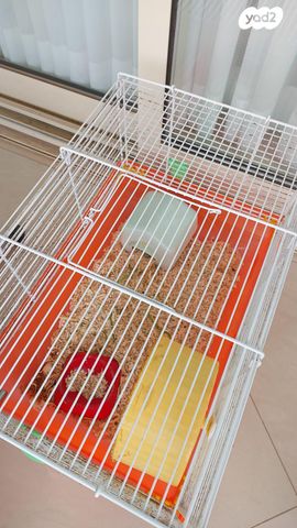 תמונת מודעה - חיות מחמד