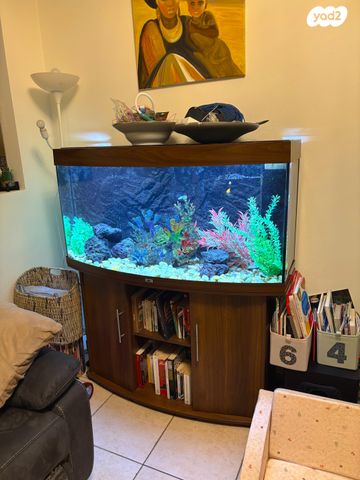 תמונת מודעה - חיות מחמד