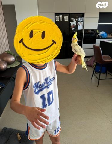 תמונת מודעה - חיות מחמד