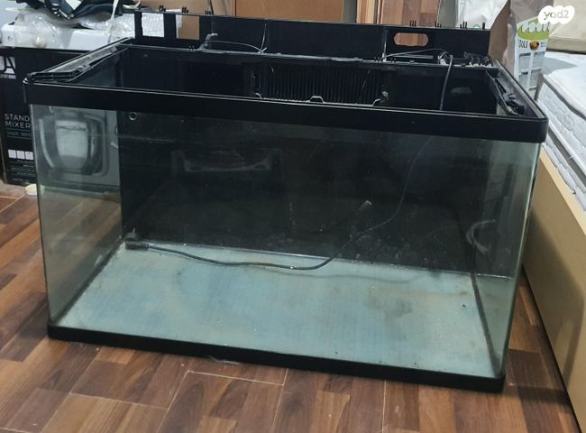 תמונת מודעה - חיות מחמד