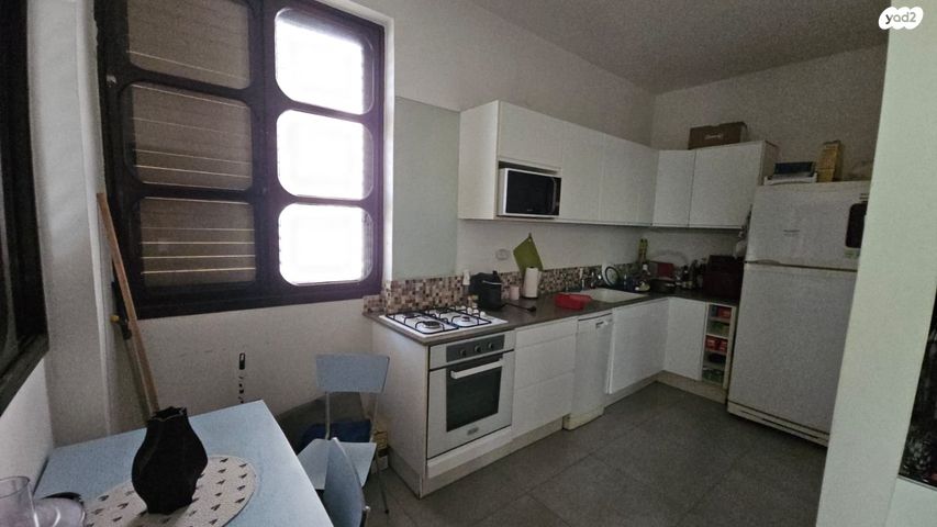 יהושע חנקין 53