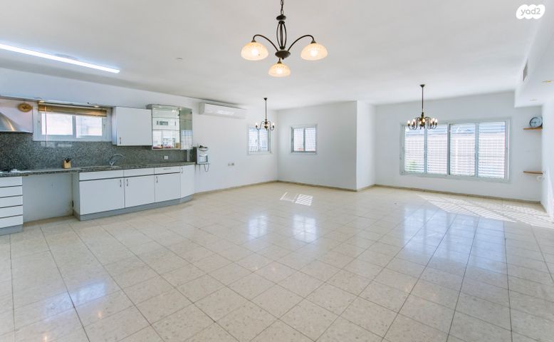 גג/ פנטהאוז, המרכז השקט / מרכז העיר, פתח תקווה