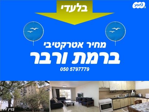 דוד פרנקפורטר 22